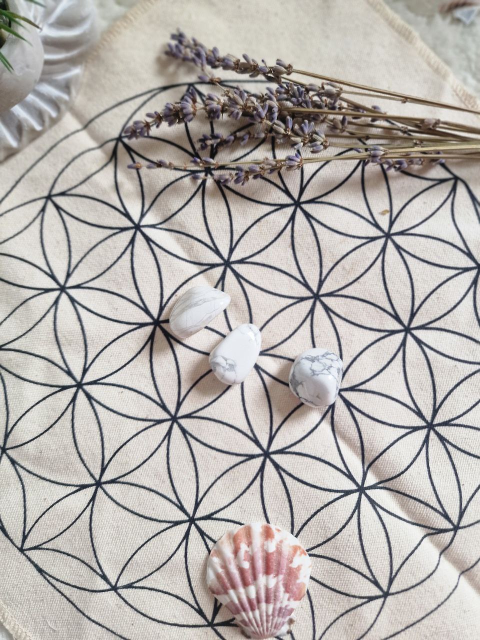 Howlite Burattata