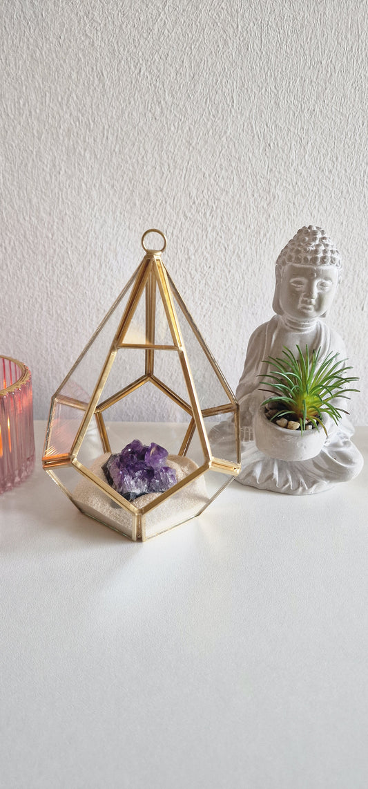 Crystal | Terrario in Vetro