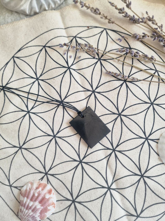 Collana piastra di Shungite